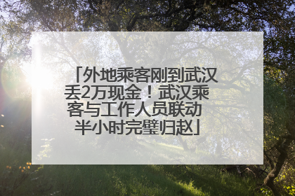 外地乘客刚到武汉丢2万现金！武汉乘客与工作人员联动 半小时完璧归赵